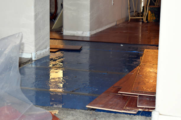 Professional Sewage Cleanup technician working in Lithopolis, OH
